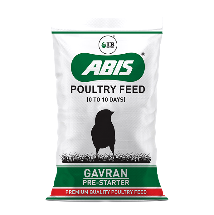 ABIS Gavran Pre-Starter